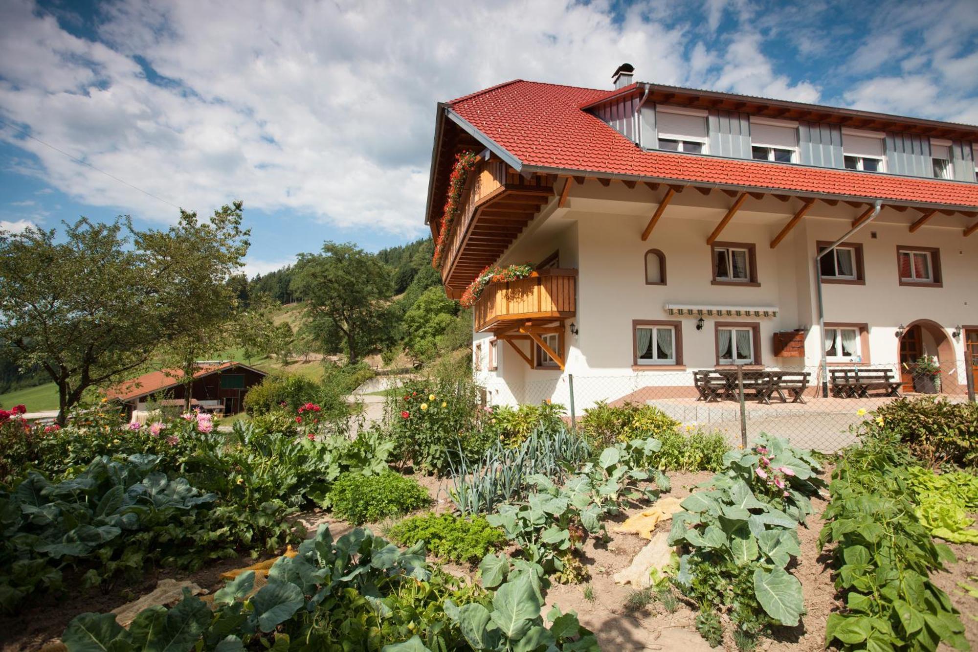 Schaetzlehof Hotel Winden im Elztal Eksteriør billede