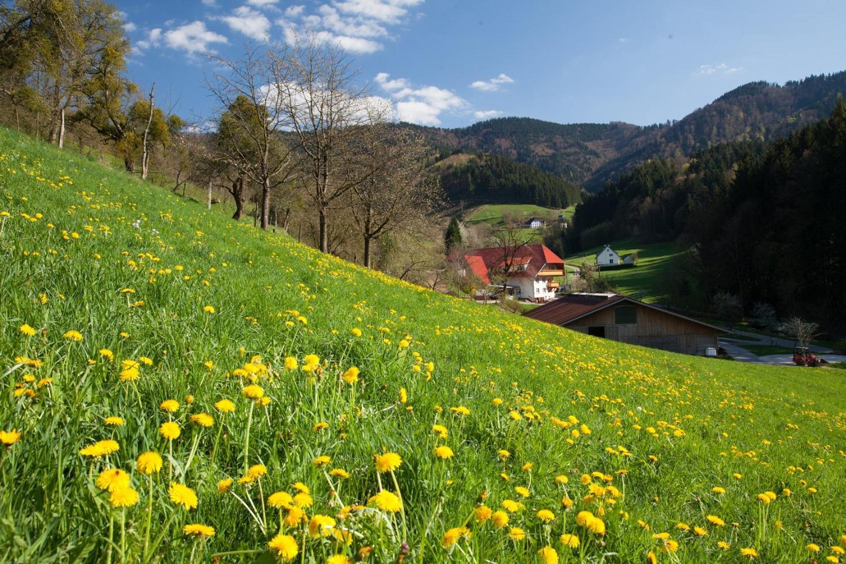 Schaetzlehof Hotel Winden im Elztal Eksteriør billede