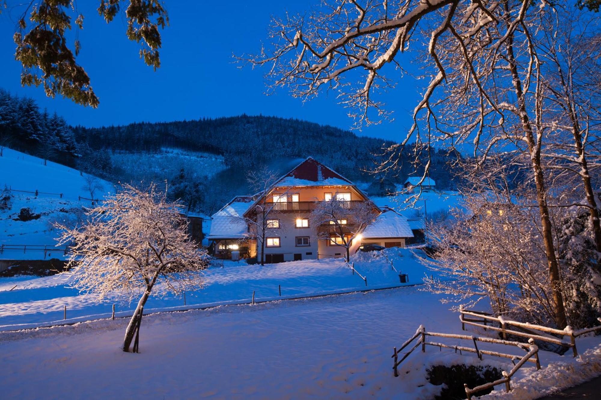 Schaetzlehof Hotel Winden im Elztal Eksteriør billede