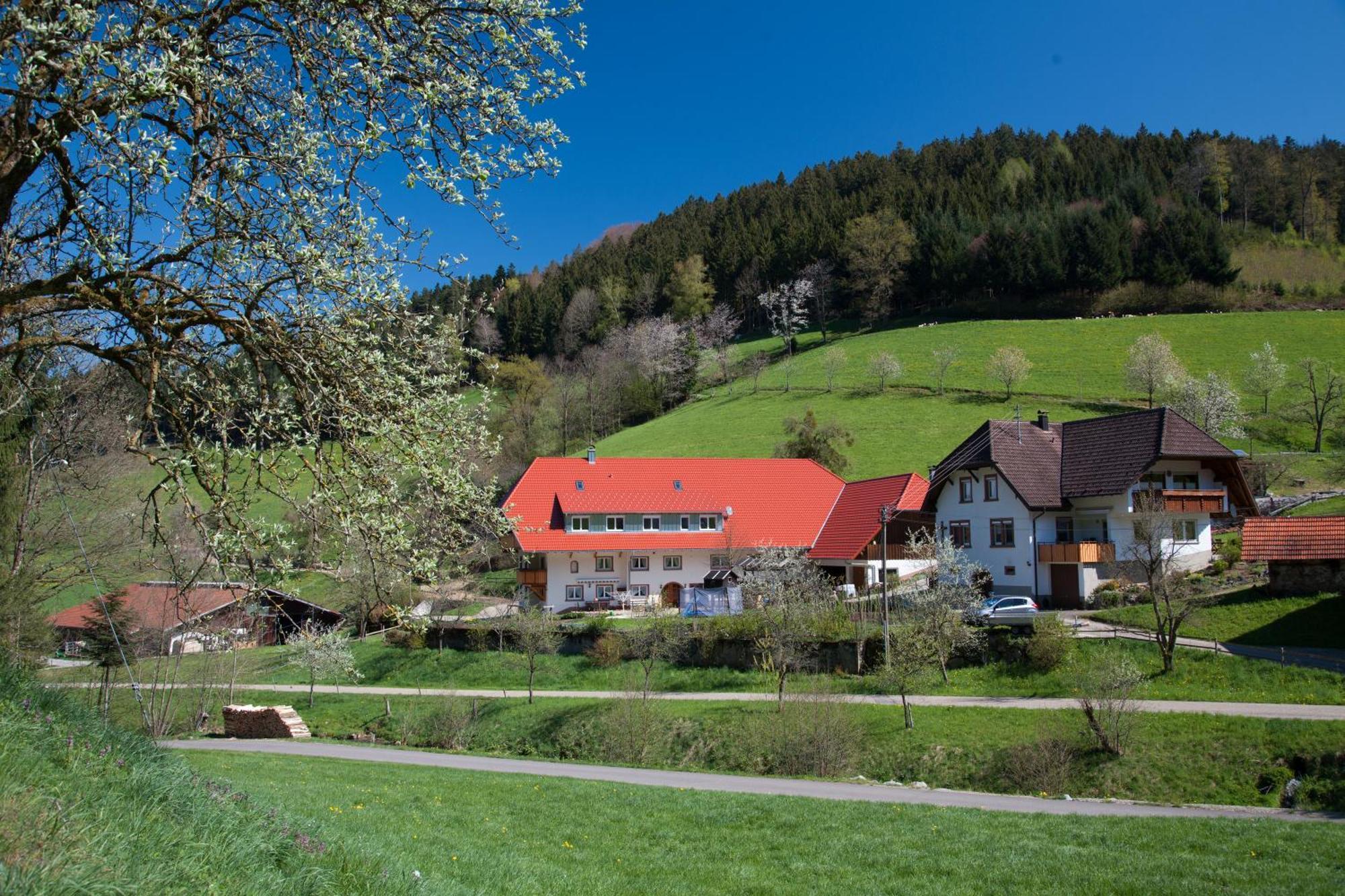 Schaetzlehof Hotel Winden im Elztal Eksteriør billede
